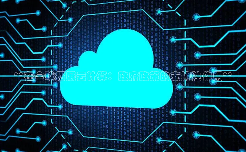 EON体育4携程**在全球拓展云计算：政府政策的支持性作用**