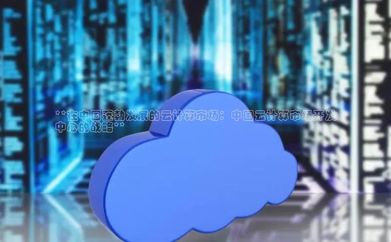 EON体育4登录百度教育**在中国蓬勃发展的云计算市场：中国云计算市场开发
中心的战略**
