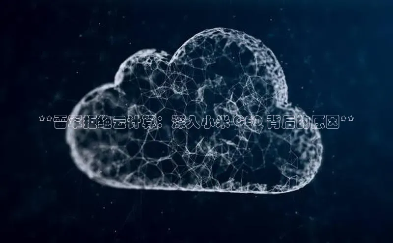 意昂4登录百度众测**雷军拒绝云计算：深入小米 CEO 背后的原因**