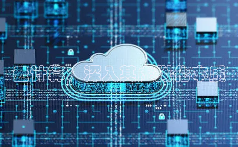 EON4ARGA公司云计算：深入其虚拟化本质