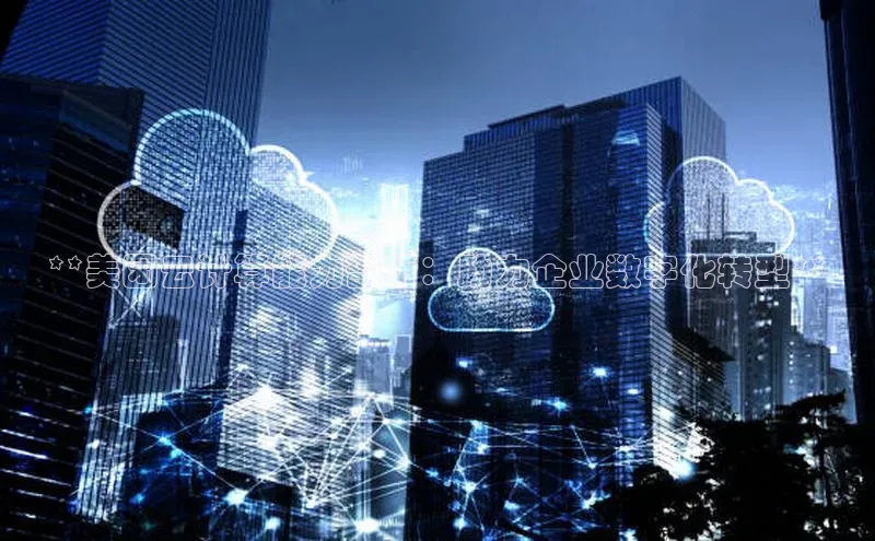 意昂4网易**美团云计算能力剖析：助力企业数字化转型**