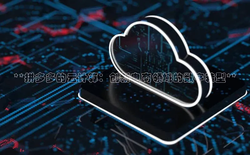意昂4招商中文在线**拼多多的云计算：创新电商领域的数字转型**