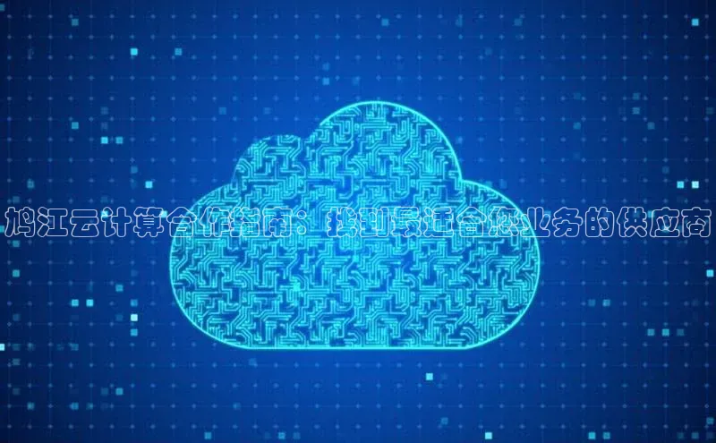 意昂4代理云创智行鸠江云计算合作指南：找到最适合您业务的供应商