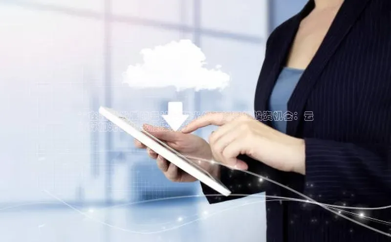 EON4官网颐驰 06**在蓬勃发展的云计算和光伏领域寻找投资机会：云
计算加光伏概念股深入**