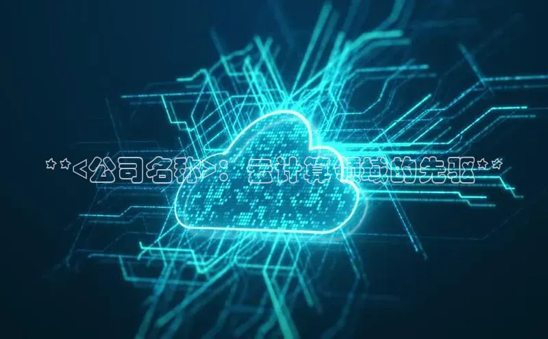 意昂体育4官网挪威主权基金**<公司名称>：云计算领域的先驱**