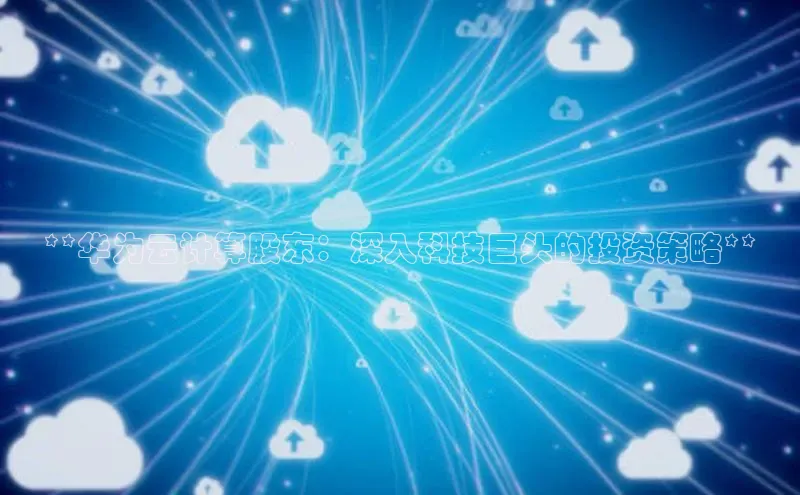 意昂4招商汉得信息**华为云计算股东：深入科技巨头的投资策略**