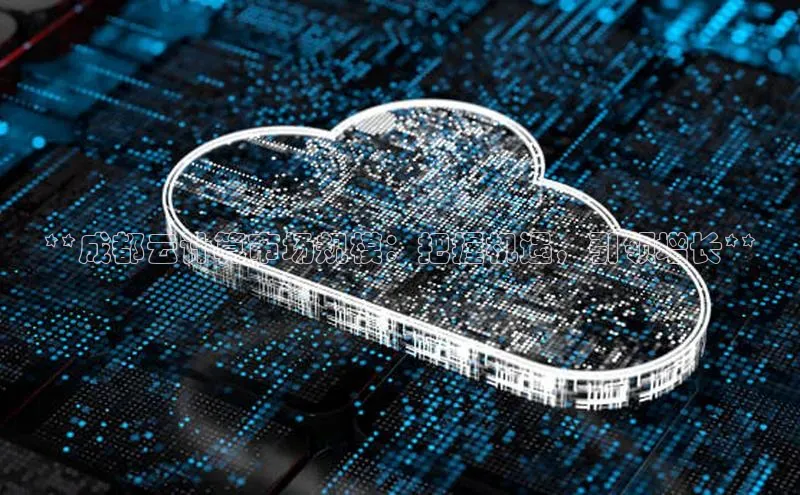 EON4官网颐驰 06**成都云计算市场规模：把握机遇，引领增长**