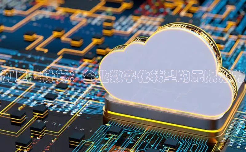 意昂体育4登录百度信誉阿里云计算：企业数字化转型的无限潜力