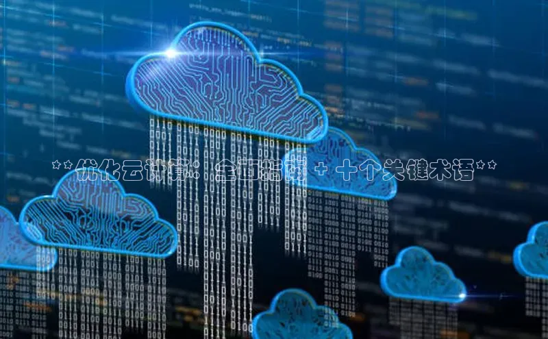 意昂体育4官网百度学术**优化云计算：全面指南 + 十个关键术语**