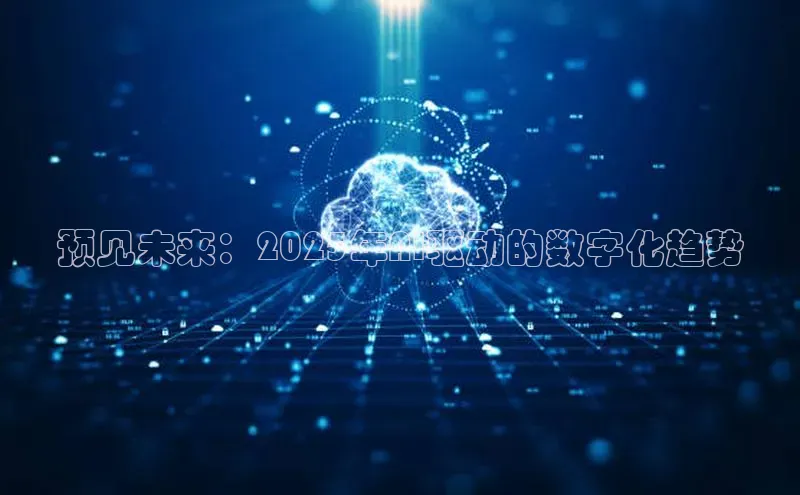 预见未来：2025年AI驱动的数字化趋势